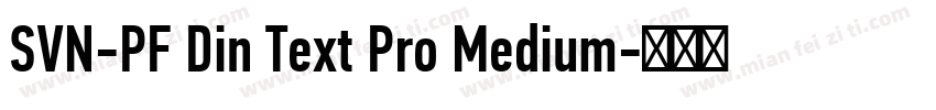 SVN-PF Din Text Pro Medium字体转换